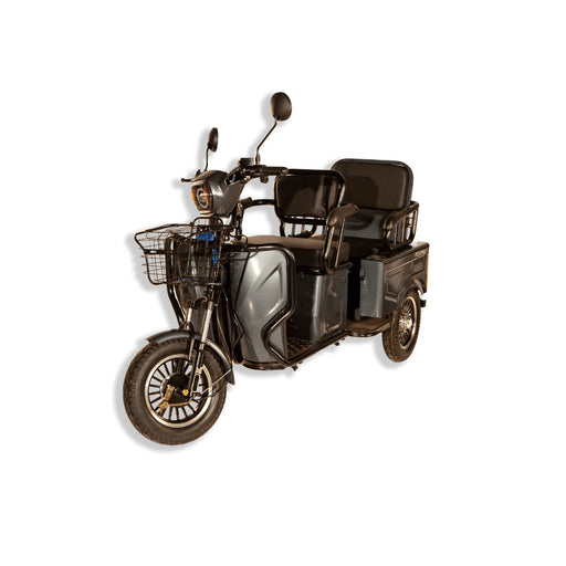 Pushpak 3000 2-Person Electric Trike Recreational Scooter