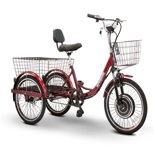 EWheels EW-29 Electric Powered Trike