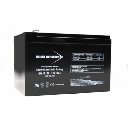 Bright Way Group, SLA, AGM, 12 Ah Battery