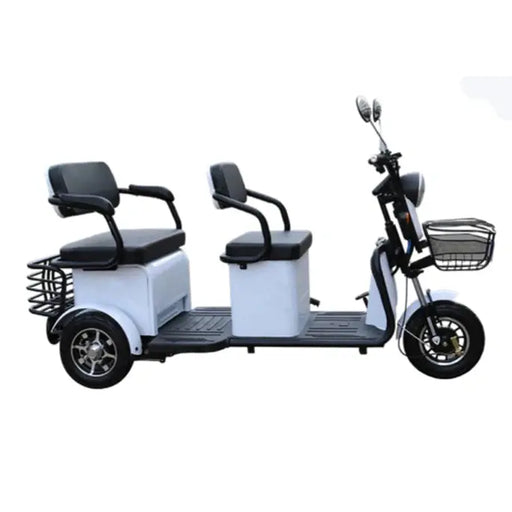 Pushpak 4000 2-Person Electric Trike Recreational Scooter