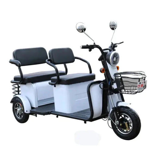 Pushpak 4000 2-Person Electric Trike Recreational Scooter