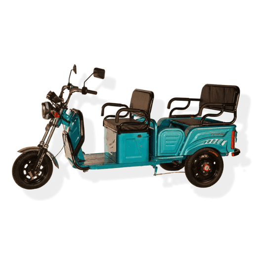 Pushpak 6000 2-Person Electric Trike Recreational Scooter